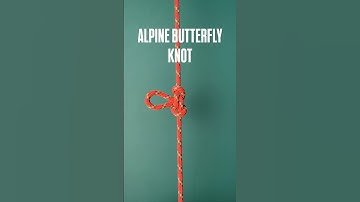 A genius way to tie the Alpine Butterfly knot #knot #camping #lifeskills