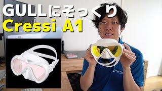 OEM? 価格がかなり安い Cressi A1 マスクレビュー