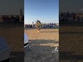 Men’s fancy at Comanche red river hotel casino #indigenous #native #powwow #fyp #fy #ytshorts #yt