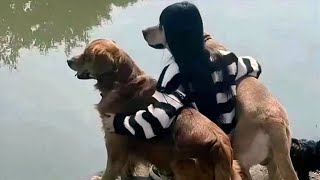 Funniest Animals Videos 2023 😹 Try Not To Laugh Funny Dogs And Cat 😉 by Fluff Town 2,905 views 6 months ago 22 minutes