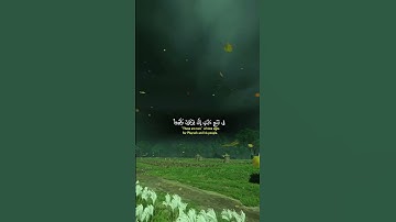 قرآن كريم بصوت جميل لا تهرب من كلام الله شارك المقطع لي ولك اجر انشاء الله