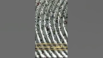 مقطع بسيط من تلاوة الشيخ ياسر الدوسري فجر يوم الاربعاء 12 صفر 1447 من الحرم المكي 🕋