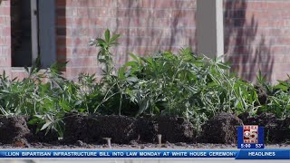 Drug Bust at Multiple Homes in Mesa County