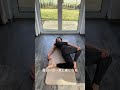 【一気に体が薄くなる】#shorts