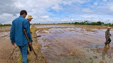 Nghe tin từ Bác Nông Dân nói về con Rắn rất lớn cả nhóm tôi nhanh chân bước ra về | TGSB #699
