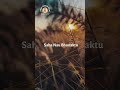Sahana Vavatu Mantra Sahana Vavatu Mantra