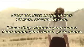 Lirik lagu Alan Walker ~ Baby don't go