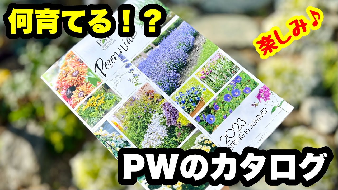 □【PWのカタログ】を見よう！ - YouTube