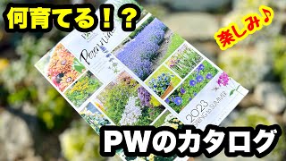 ■【PWのカタログ】を見よう！
