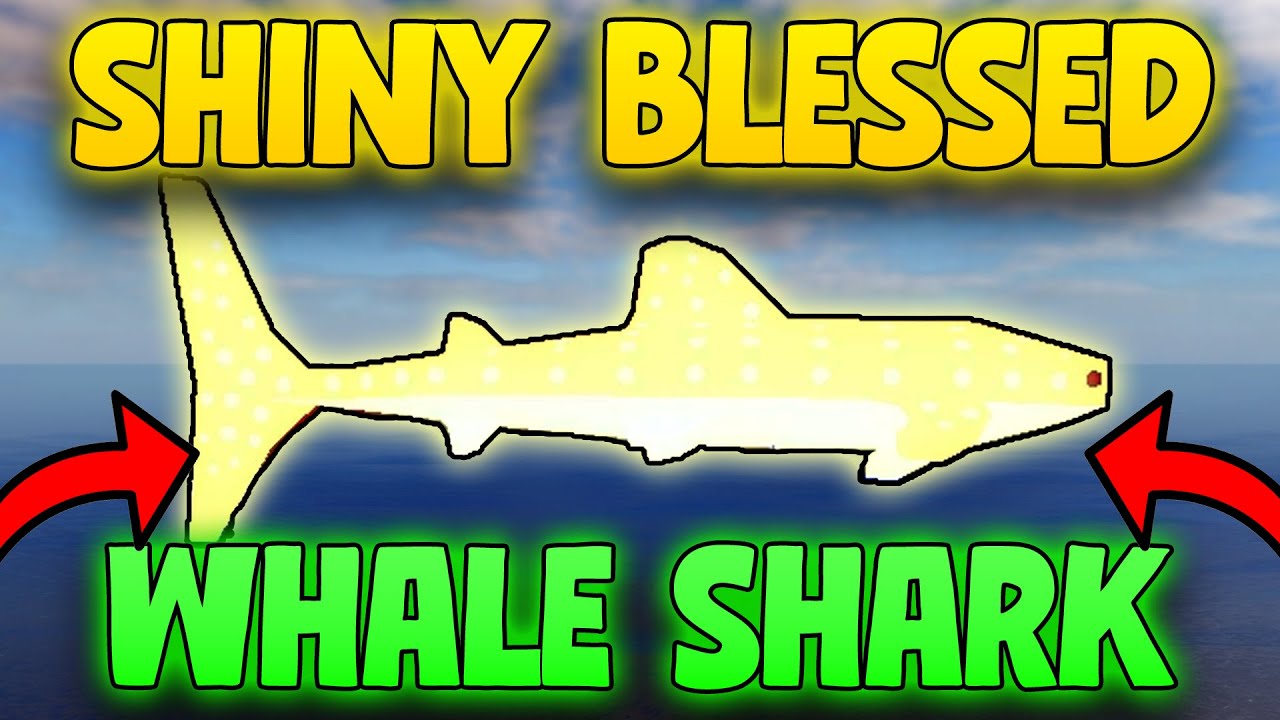 Best Way to Get a SHINY BLESSED Whale Shark in Fisch – How to Get a Blessed Shiny Whale Shark Fisch