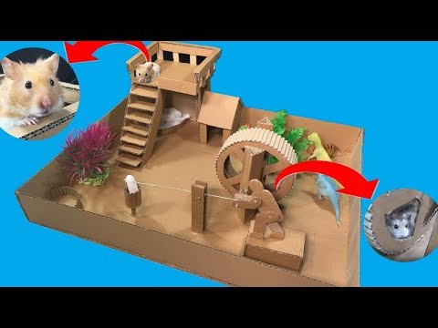 funny-hamsters-in-wheel---making-wheel-toy-for-hamster-from-cardboard