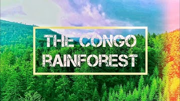 Congo Rainforest | The Other Lung of the Planet | The 💜 of Africa |