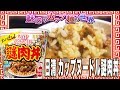 日清 カップヌードル謎肉丼【魅惑のカップ麺の世界847杯】