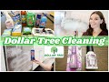 DOLLAR TREE CLEANING PRODUCTS 2021 | TESTING DOLLAR TREE CLEANERS | Rach Plus Five