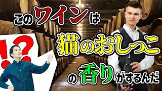 言語学から考える食レポ。なぜソムリエは謎の語彙を使うのか？【食レポ1】#202