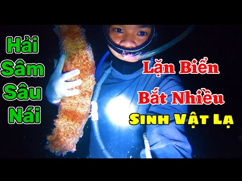 Video Nghề Lặn Của Tiên | Cuộc Sống Dưới Đáy Bển | scuba... - youtube