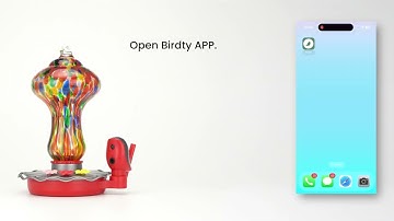 BBPECO How to Connect Smart Hummingbird Feeder  to Birdty APP