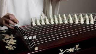 【古箏/Guzheng】白马入芦花《白馬入蘆花/White horse into reed flowers》河圖