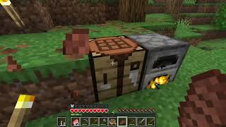 Minecraft Java Edition (1.21.11) #1