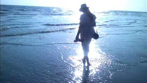 Wandering - Robin Steele