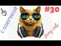 Веселые приколы с котами смешные коты ТОПовая лучшая подборка #30