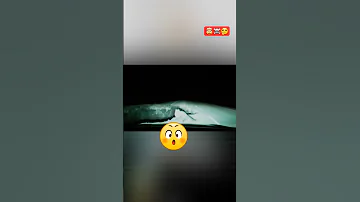 لقطة غاية في الغرابة لقطة هل هي صدفة أم تحدير Nicevideo Everyone Automobile Remix Driving 