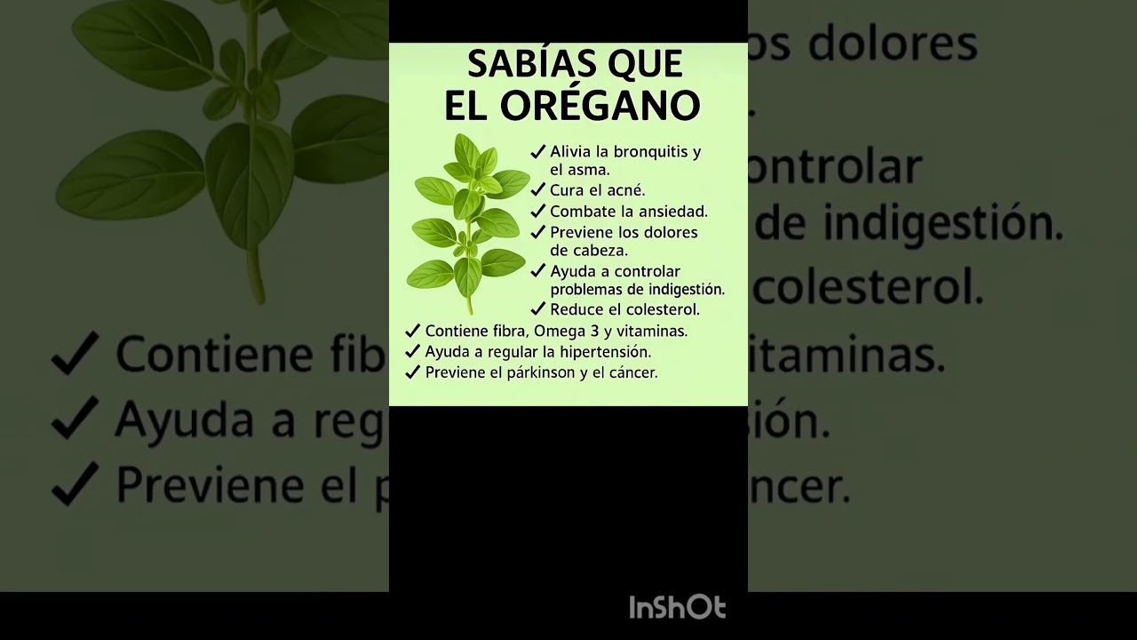 propiedades del orégano 