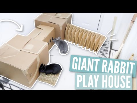 rabbit play houses