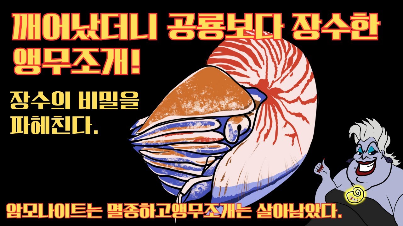 깨어났더니 바다의 꼰대 장수왕 디즈니 인어공주 우르슬라의 목걸이 앵무조개가 되었다?! 암모나이트는 멸종하고 앵무조개만 살아남은 장수비결 전격공개!!