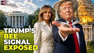 Urgent: Trump’s White House Bee Signal Just Triggered a DEEP STATE FREAKOUT?