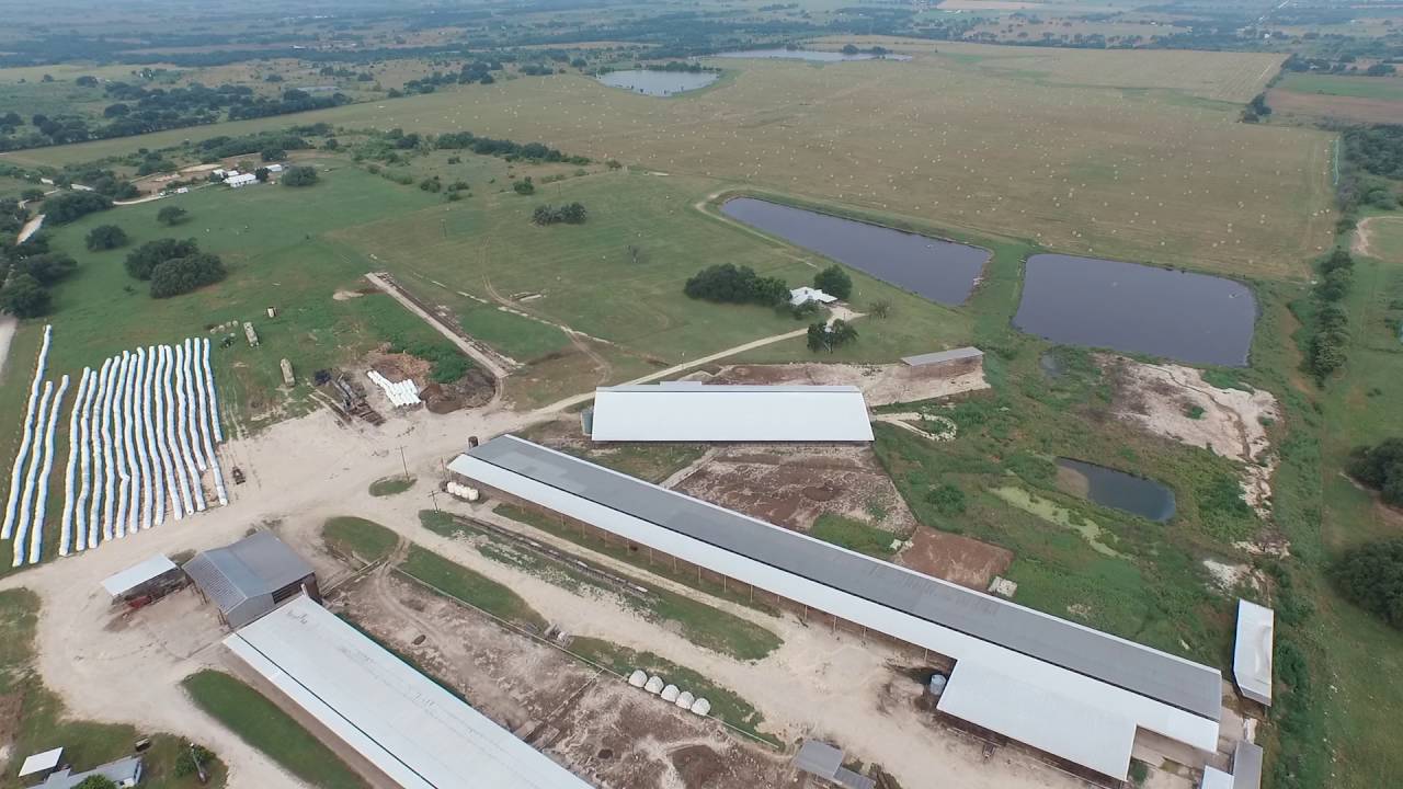 J&J Dairy Video YouTube