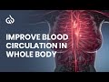 Improve Blood Circulation in Whole Body : Rife Frequency, Binaural Beats - Proper Blood Circulation