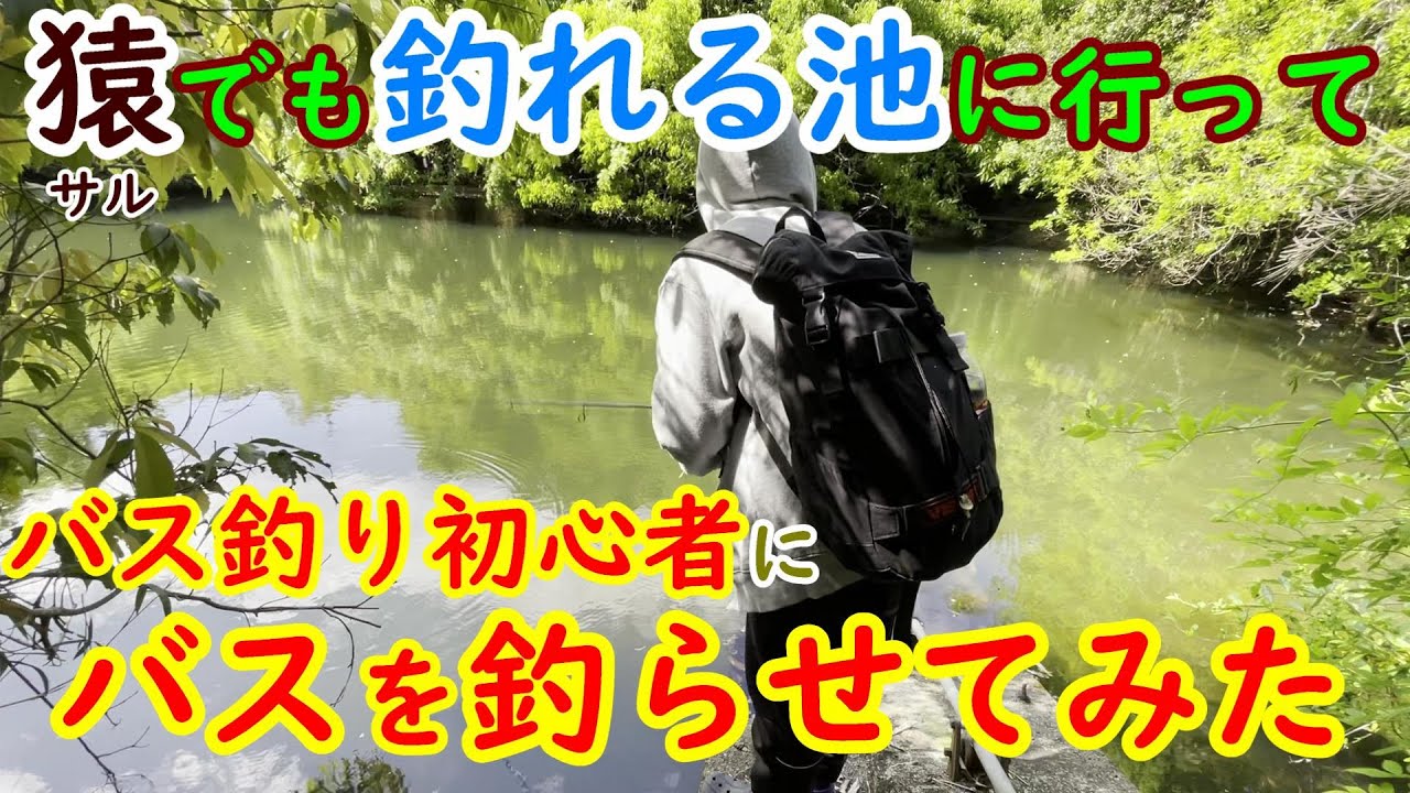 バス釣り入門 春の野池に行ってバス釣り初心者にバスを釣らせてみた 釣り動画
