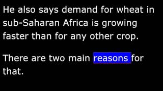 Growing Wheat in Sub-Saharan Africa - AGRICULTURE REPORT in Special English.