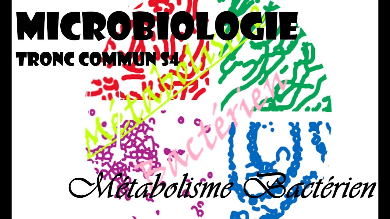 Cours Tcommun/S4/2021/Métabolisme Bactérien/Microbiologie Générale