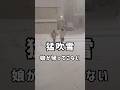 焦ったよ#猛吹雪#暴風雪警報#ホワイトアウト