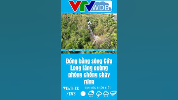 Đồng bằng sông Cửu Long tăng cường phòng chống cháy rừng | VTVWDB