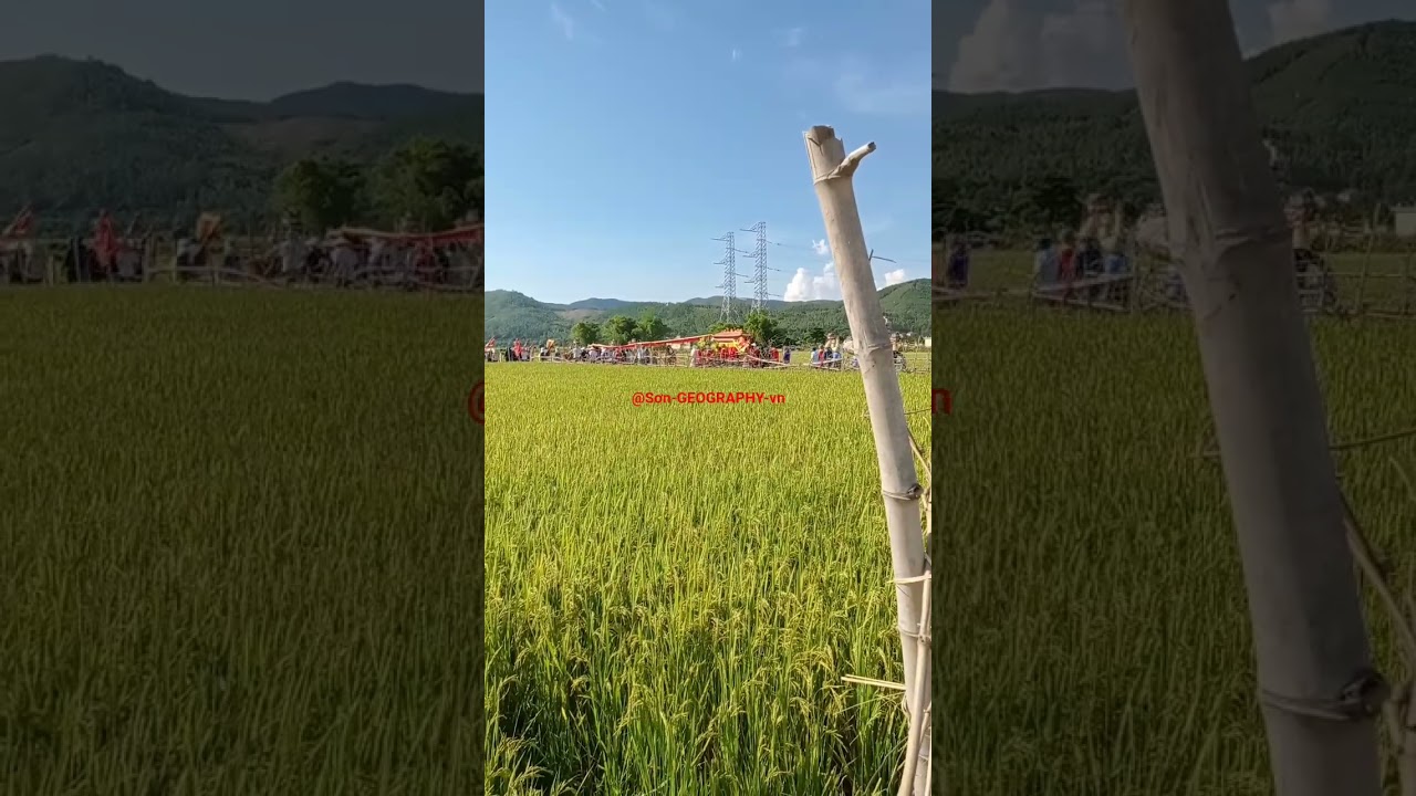 Burying the dead in rural Vietnam is traditionally done through in-ground burial. 