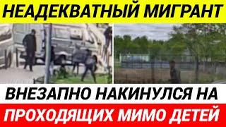 Мигрант Избил 9-Летнюю Девочку