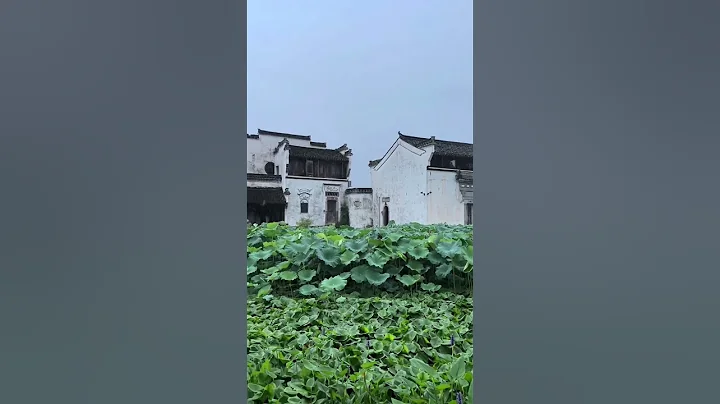 白墙黑瓦的徽派建筑与雨天更搭 - 天天要闻