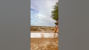 ﴿فقال رَبِّ إِنِّي لِمَا أَنْزَلْتَ إِلَيَّ مِنْ خَيْرٍ فَقِيرٌ﴾: الآية 24 من سورة القصص
