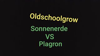 Sonnenerde VS Plagron Teil 5