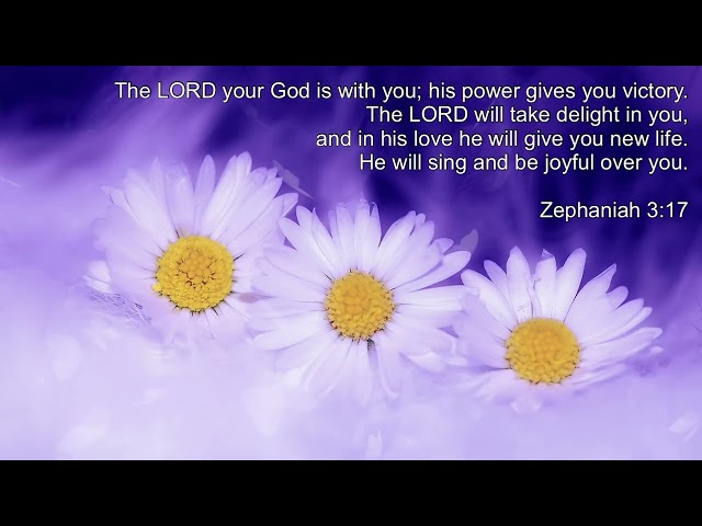 NSM33 / ゼファニア書3章17節