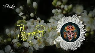 PHOOLMATI CG remix song dj VKR