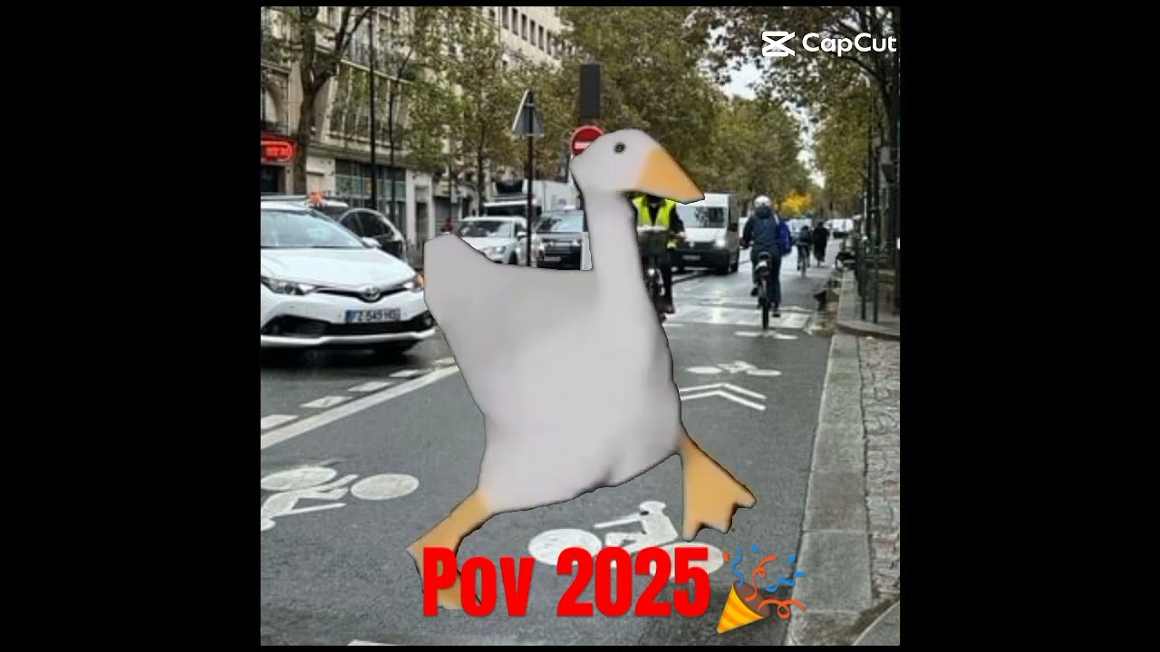 Pov 2025 
