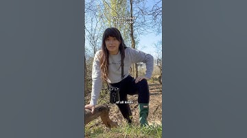 Why You Should Date A Birder #birds #nature #birdwatching #funny