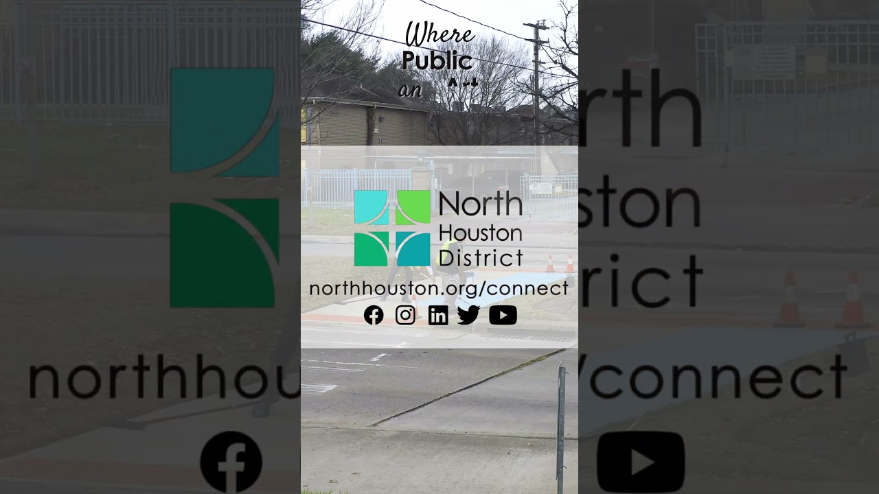 Public Art Masterpieces in North Houston 🎨