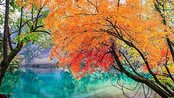 Good Companionship - Aboo Suhailah 