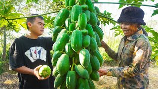 木瓜酸怎麼做最好吃教你簡單做法酸辣爽脆開胃下飯Guangxi grandma makes sour papaya delicacy#木瓜  Chinese Food 广西 美食 玉林阿婆