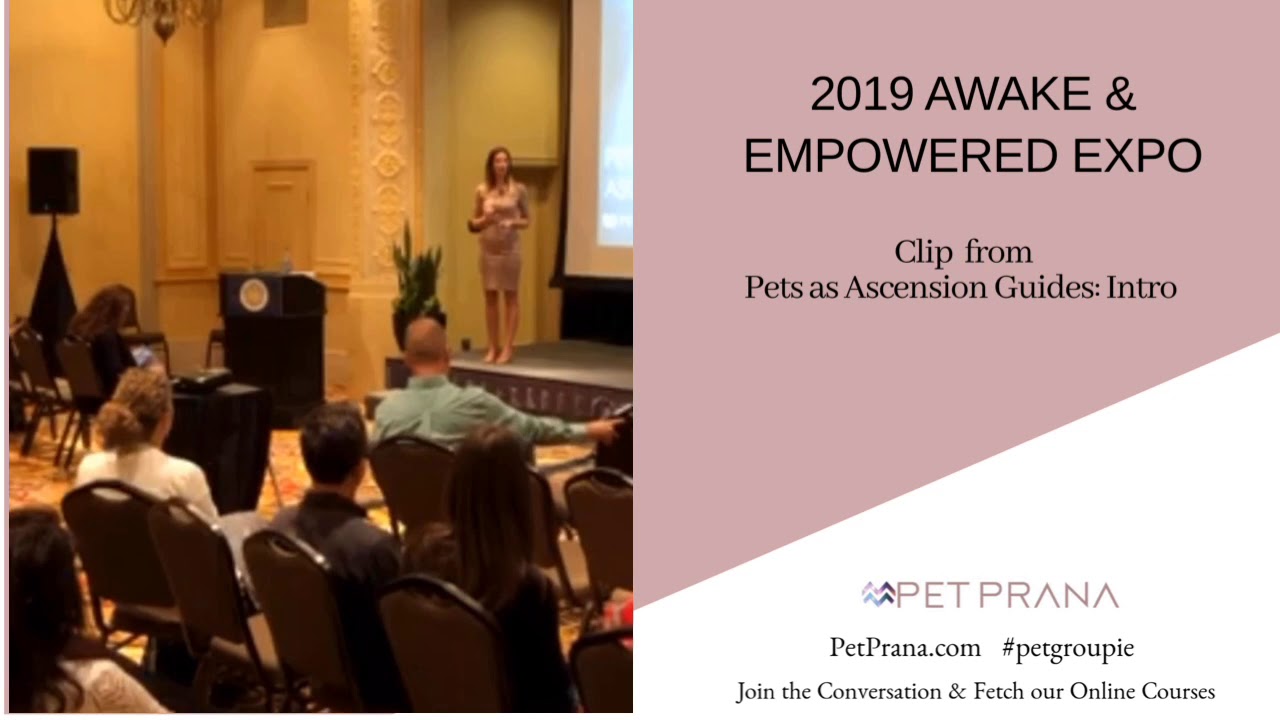 Pet Prana®'s Denise Mange at 2019 Awake & Empowered Expo. Intro by Ethann Fox.